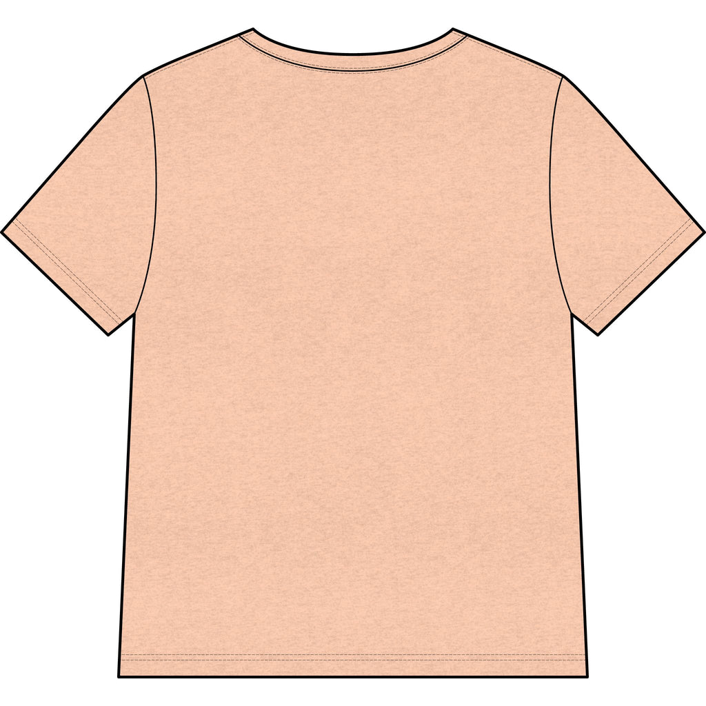 Womans Texas Type Shi V Neck  — Retro Skyline & Lone Star Graphic