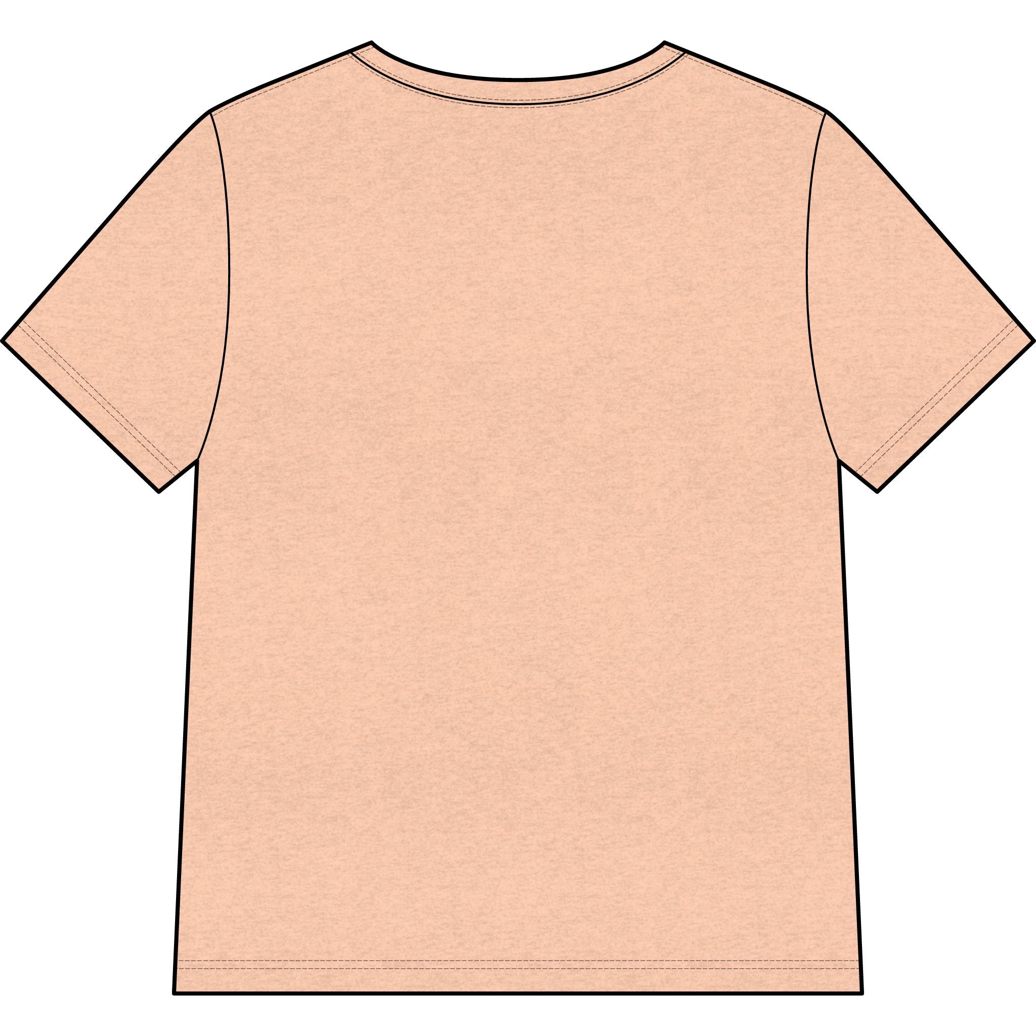 Womans Texas Type Shi V Neck  — Retro Skyline & Lone Star Graphic